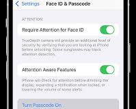 iOS passcode settings