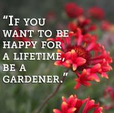 Gardening Quotes from Proven Winners on Pinterest | Garden Quotes ... via Relatably.com