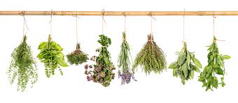 Image result for essential oils