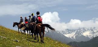 Image result for IRAN HORSES