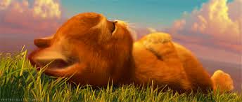 Image result for puss