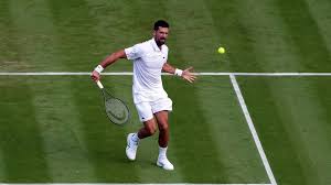 Wimbledon Shocker! Top Seeds Tumble - Who Will Survive? - Imagen principal del artículo