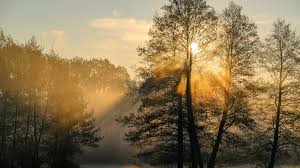 wetter - Trending in Germany