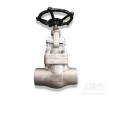 Forged Steel Globe Valve Straight SDNR FNPT,Valve ...
