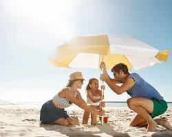 Imagen de Busque sombra