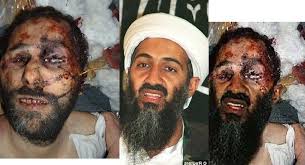 ... dass Bin Laden in Tora Bora gestorben ist und dass die Behauptung von ...