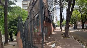 “Vinieron a escondidas a podar el árbol”: El dolor de la mamá del bebé de 12 días que murió tras caerle una palta en la cabeza