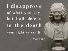 FREEDOM OF EXPRESSION QUOTES VOLTAIRE | Lustige Bilder via Relatably.com