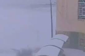 فیلم/ بارش شدید برف در سلماس آذربایجان غربی