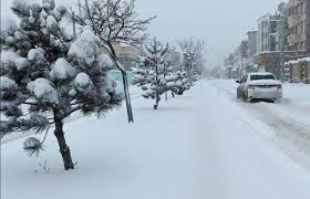 دمای هوای تهران