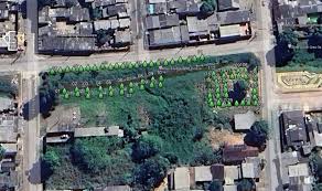 Porto Velho Revive! Ações Surpreendentes Transformam a Cidade!