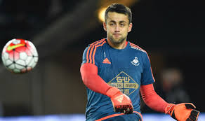 Image result for Fabianski