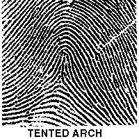 Résultat de recherche d'images pour "fingerprint types"
