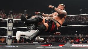 raw results Picture