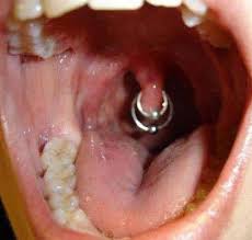 Resultado de imagem para piercing NA VAGINA