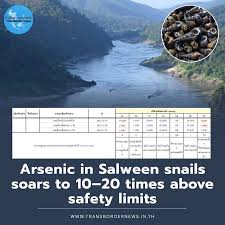 Snails in the Salween River Found to Contain Arsenic Levels 20 Times Above Safety Standards