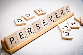 Image result for perseverance in life