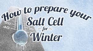 Image result for hayward are salt generators winterized