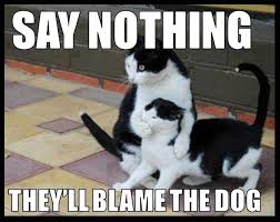 Say Nothing funny memes dogs cat cats meme lol funny quotes cute ... via Relatably.com