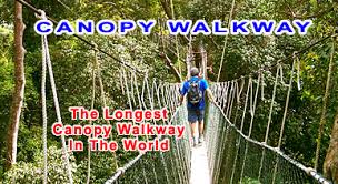 Image result for national park pahang