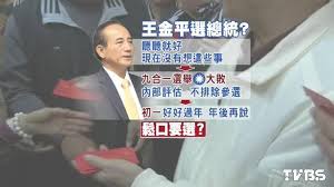Image result for 朱立倫 彭淮南配