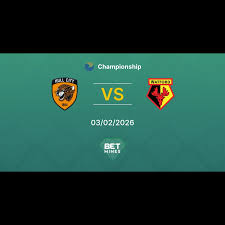 Hull City x Watford Palpite: Prévia e Análise da Partida | Championship 03-02-2026