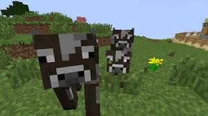 Image result for minecraft baby cow