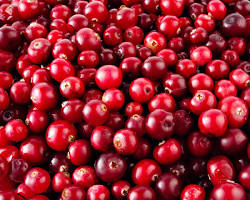 Cranberries