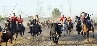 VIVAN LOS TOROS! - Página 15 Images?q=tbn:ANd9GcT1P2NsoKmMcYk5IQz_WY4SsvFWd7mYXbtVnezYsjBUGKYyqpj5Yw