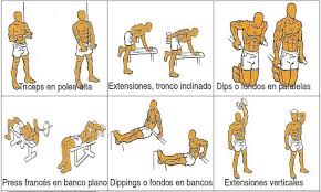 Resultado de imagen de ejercicios de tríceps con mancuernas