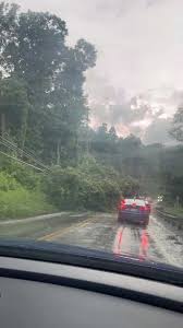 Strong storms topple trees, bring down wires in Western Pennsylvania