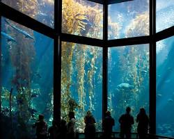 Image of Monterey Bay Aquarium