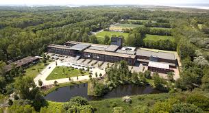 Image result for the hague