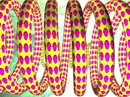 Résultat de recherche d'images pour "rotating snakes"