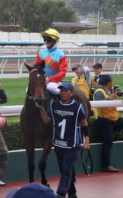 いよいよ明日「現役世界最強スプリンター」カーインライジングが香港競馬新記録の18連勝に挑む（日刊スポーツ）