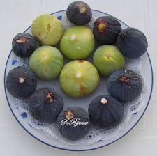 Resultado de imagem para figo preto de torres