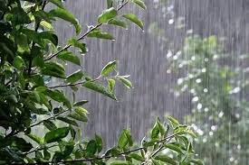 رگبار و رعد و برق در ۹ استان نوار شمالی کشور