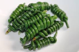 Image result for Kacang panjang