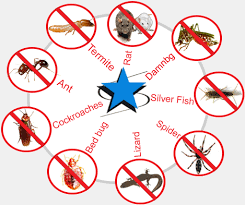 Image result for PEST CONTROL SERVICES