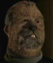 Image result for werebeaver