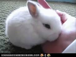 Resultado de imagen de energizer bunny gifs