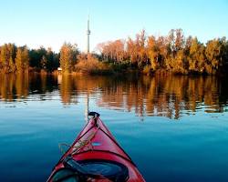 Fall Colours in Toronto