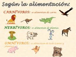 Resultado de imagen de animales primaria