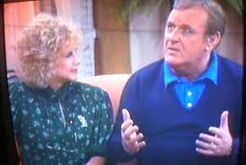 Résultat de recherche d'images pour "webster tv show"