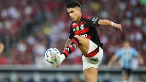 Flamengo vs Estudiantes: But Historique et Match Décisif! - Imagen principal del artículo