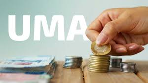 ¿Cuánto valdrá la UMA (Unidad de Medida y Actualización) en México este 2026?