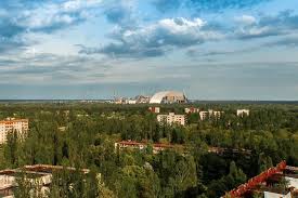 Large mammals 'thriving' in Chernobyl exclusion zone, scientists say