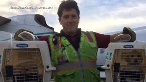 New documentary #Skyking brings you inside brazen plane theft