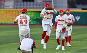 Diablos Rojos modifica su calendario por la Selección Mexicana