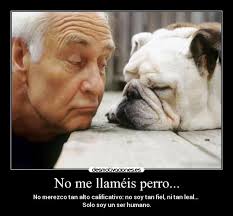 Carteles y Desmotivaciones de perro fiel leal humano &middot; carteles perro fiel leal humano desmotivaciones - descansando1440x900966